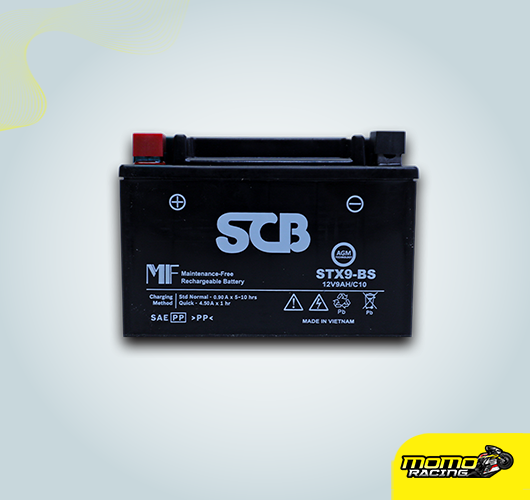 STX9 Indonesian battery
