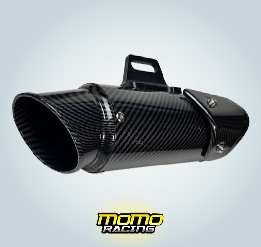 Carbon 113 Akrapovič exhaust