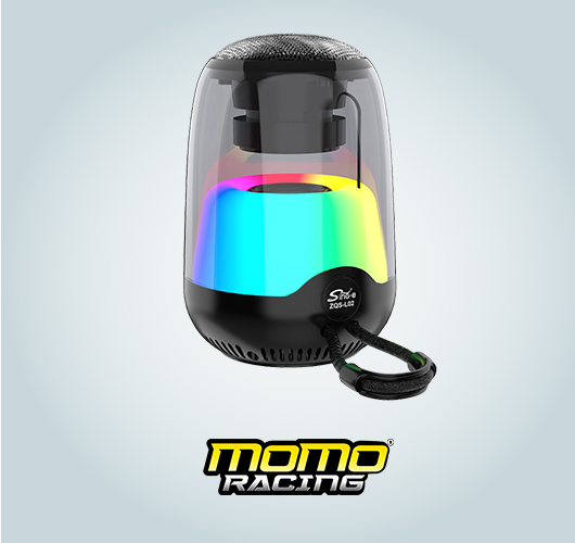 1387 SS speaker