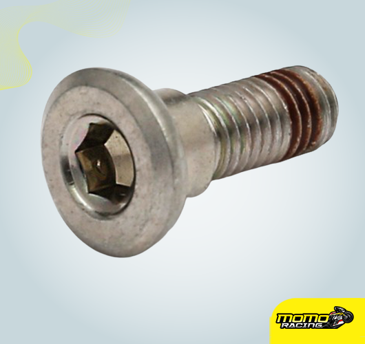 Brake disc bolt