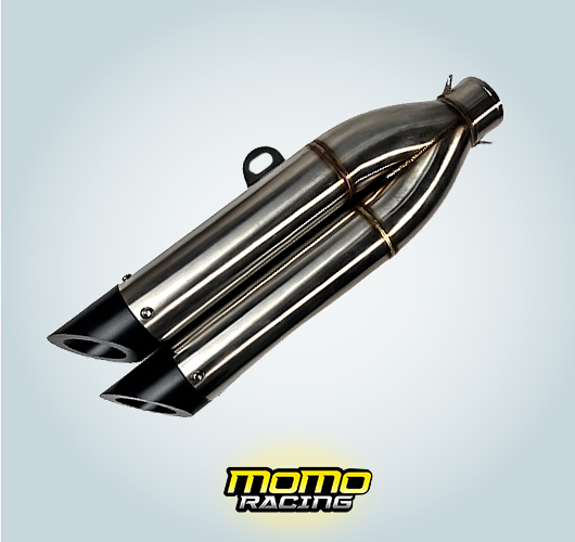 Silver 319 Dual output exhaust